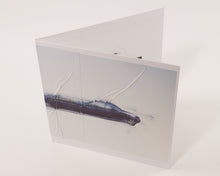 Win McCarthy for Graham Lambkin’s Amateur Doubles Edition 2/5